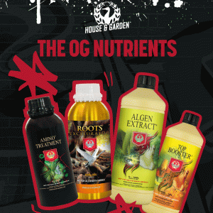 It all began with Van De Zwann: the House & Garden Story...so far